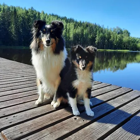 Saunamoekki Rauhala,laatulomat Chalet Juva