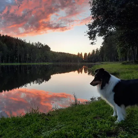 Saunamoekki Rauhala,laatulomat 木屋