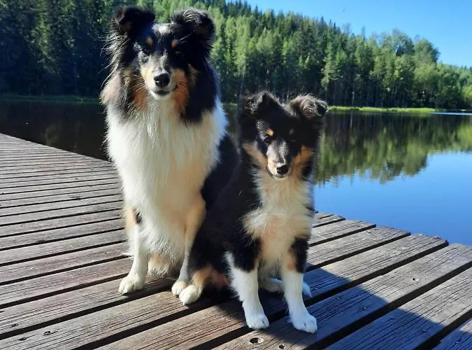 Saunamoekki Rauhala,laatulomat Chalet Juva