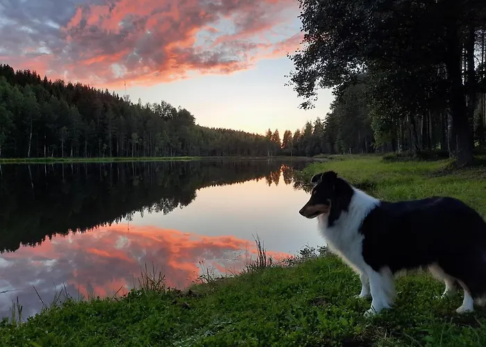 Saunamoekki Rauhala,laatulomat Chalet